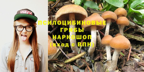a pvp Абдулино