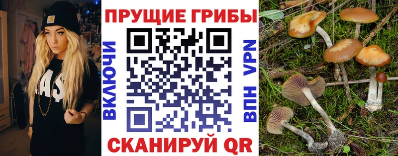 купить  цена  Альметьевск  OMG онион  Галлюциногенные грибы MAGIC MUSHROOMS 