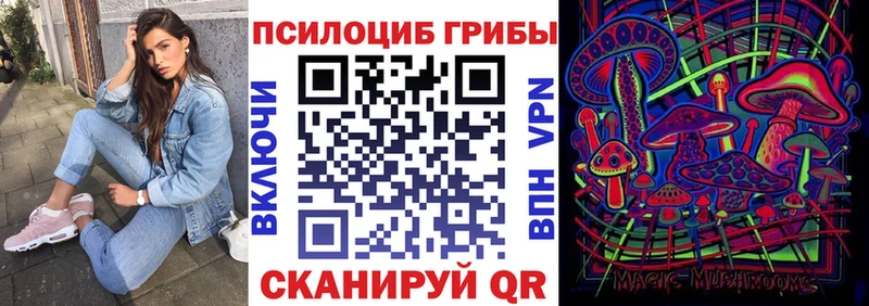 Псилоцибиновые грибы Cubensis Альметьевск