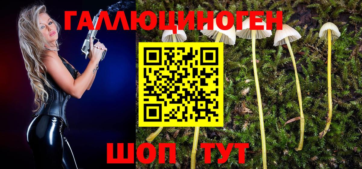 Псилоцибиновые грибы Magic Shrooms Альметьевск