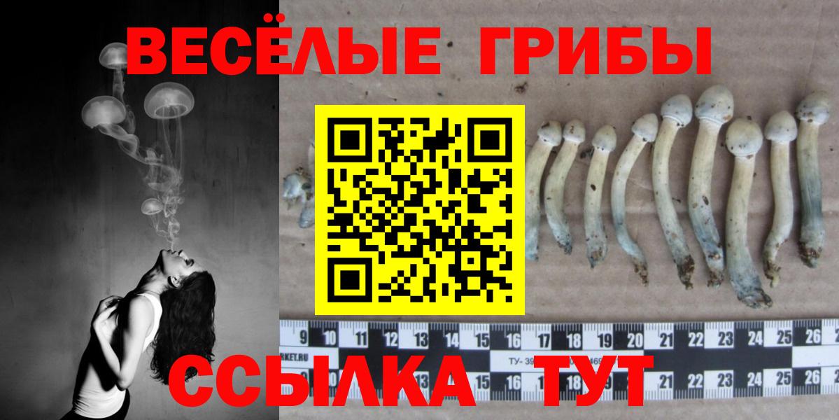 Псилоцибиновые грибы Psilocybe  Вход с VPN  Альметьевск  Псилоцибиновые грибы Cubensis 